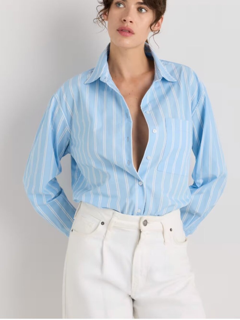 Quince Organic Cotton Poplin Boyfriend Shirt Blue Stripe Small NWOT